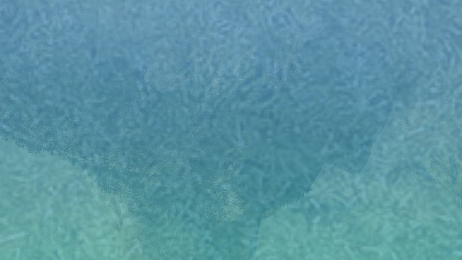代理价格优势的免费ddos压力测试平台